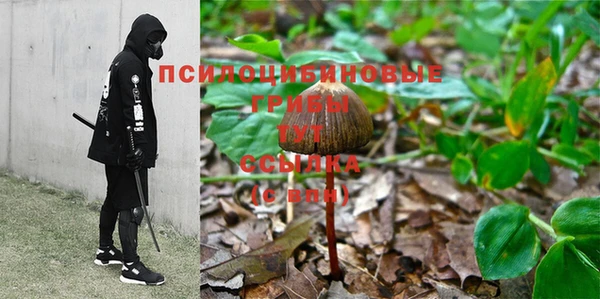 тгк Верея