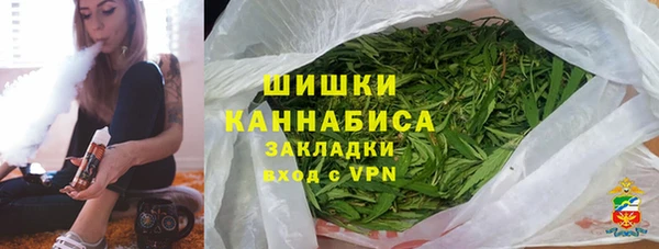 шишки Вяземский