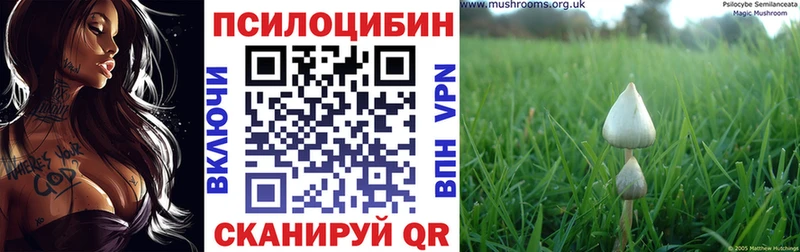 Галлюциногенные грибы MAGIC MUSHROOMS хочу Вилючинск